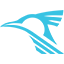 RoadRun logo
